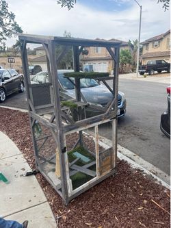 Free catio