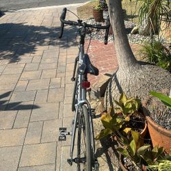 1800c Trek Bike Race