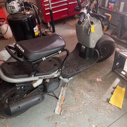 Honda Ruckus