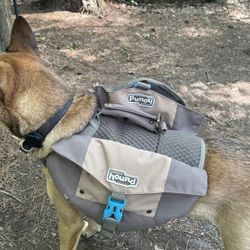 Dog Bag Backpack