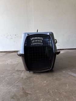 Cat Carrier