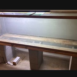 Aquarium/reptile Tank
