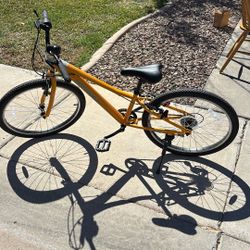 24” Retrospec mountain bike