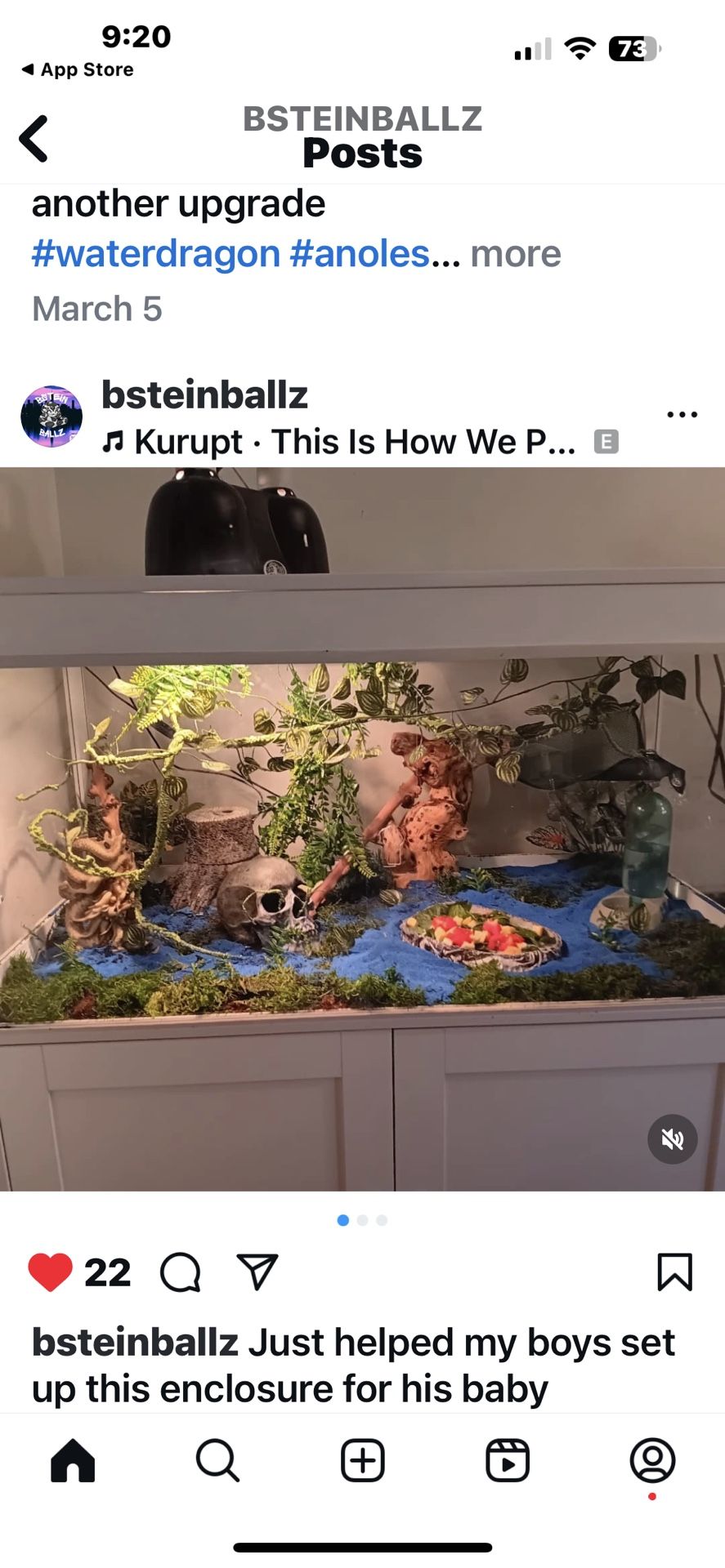 Reptile Tank iguana