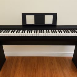 Digital Piano for Sale – Excellent Condition 