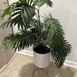 Fake Plant 