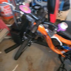 Unisex  Mongoose ledge 10 Speed