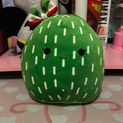 Cactus Small Squishmallow 