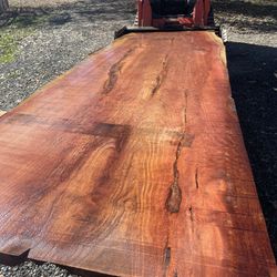 Biggest Redwood Slab You’ve Ever Seen 