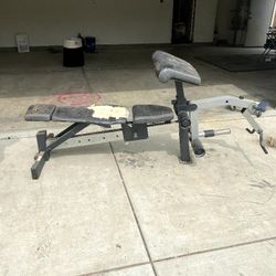 Free Weight Bench