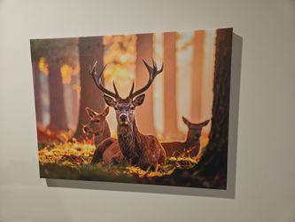Picture Of 3 Deers On Canvas, Art, Painting. 18x24