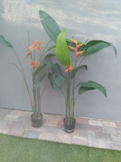 Fake Plants