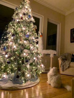 TreeTime 7.5’ Frosted Elegance Pre-Lit Christmas Tree – Luxury Tree