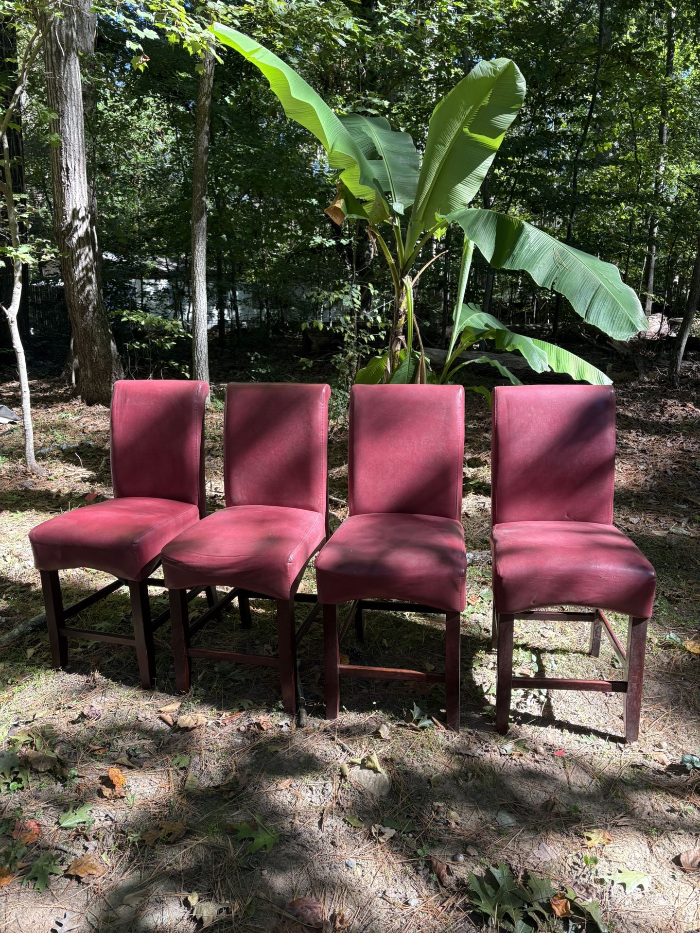 24” Red Dining Chairs
