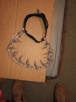 Dog training collar