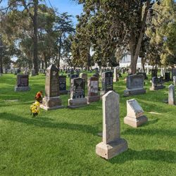 Two double depth plots, side by side- Live Oak Memorial Park