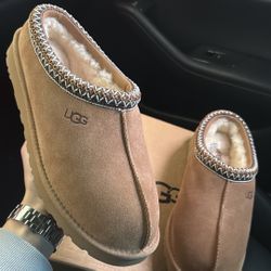 Ugg Tasmans