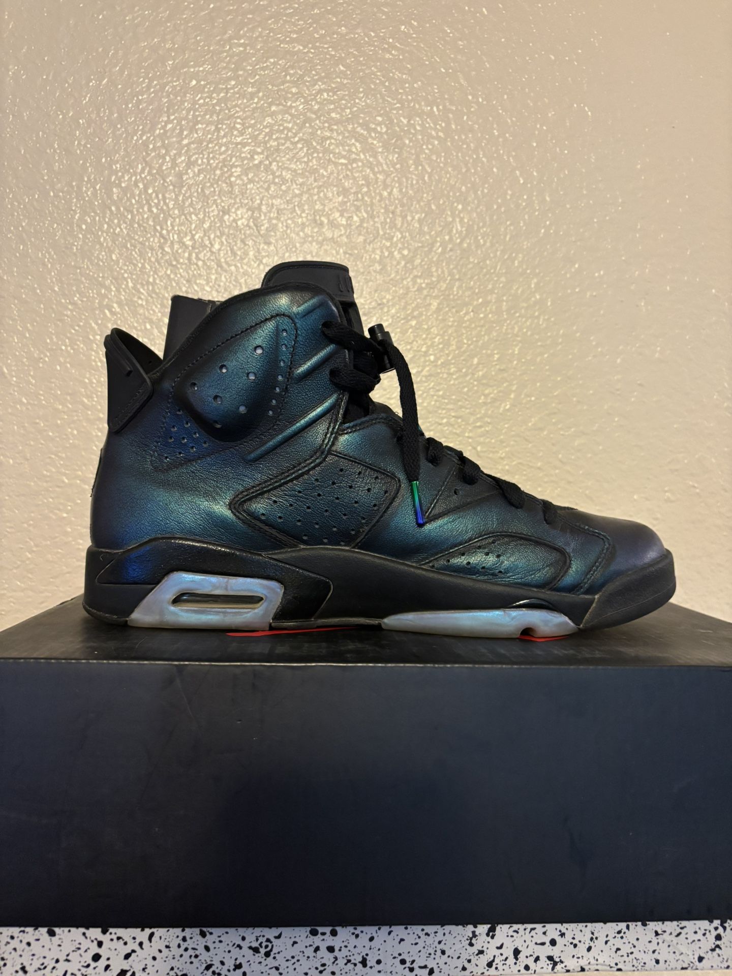 Jordan 6 All Star “Chameleon” (Size 11.5)
