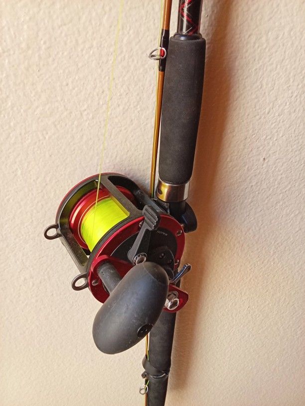 Offshore Angler Seafire Fishing Reel
