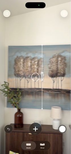 Large Canvas Wall Art