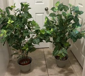 2 fake trees
