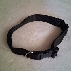 Dog Collar Large  (new)