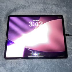 iPad Pro (12.9-inch) (4th Gen) 256GB