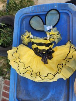 Bumble Bee And Pumpkin Costume $15 Each