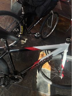 Thorne 29er