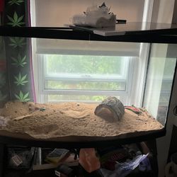 Free Reptile Tank