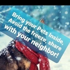 Small HARNESS $15 EACH OBO DONT FORGET TO BRING YOUR PETS INSIDE!! 