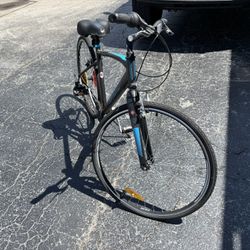 Shiva I Infinity Bike 