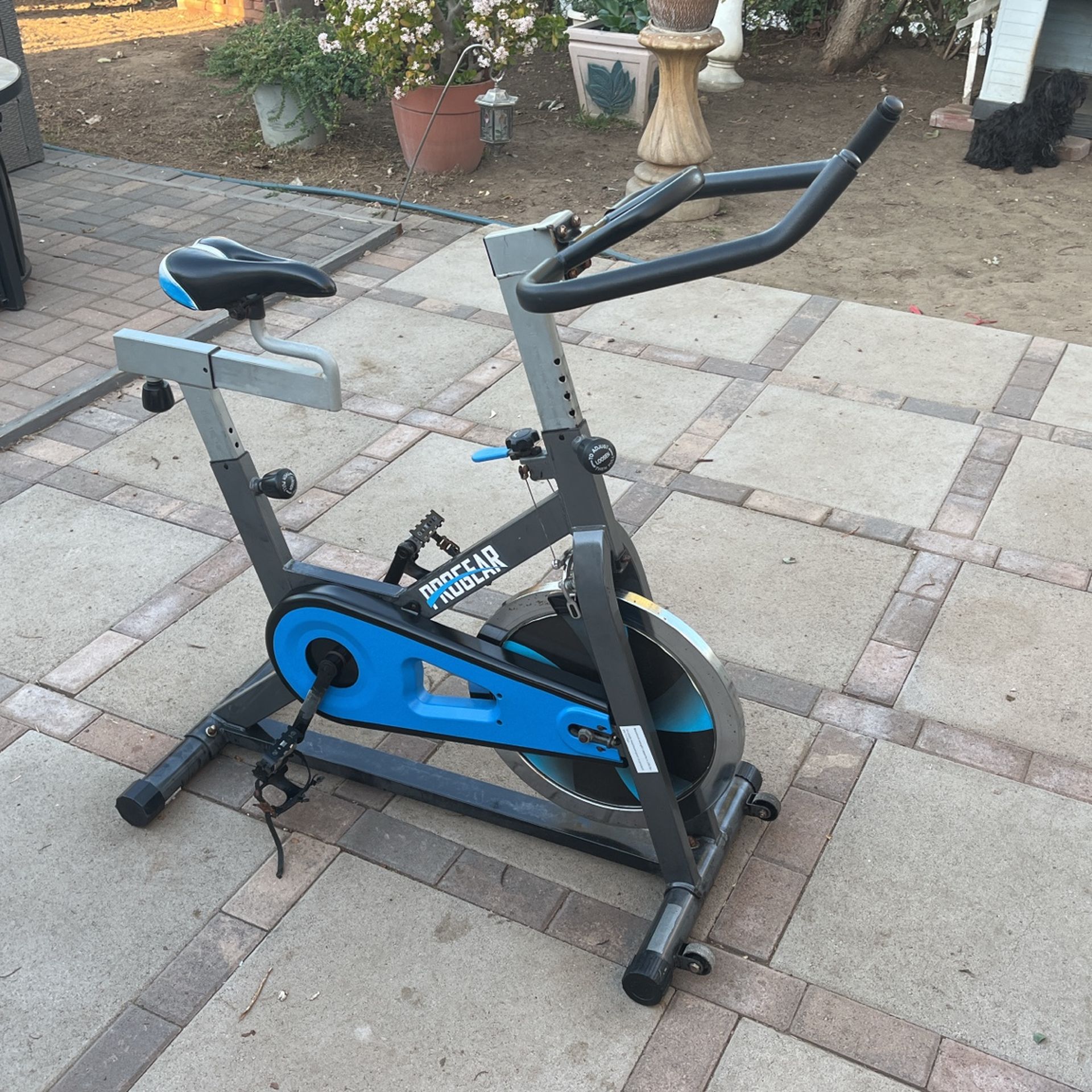 Progear Exercise Bike