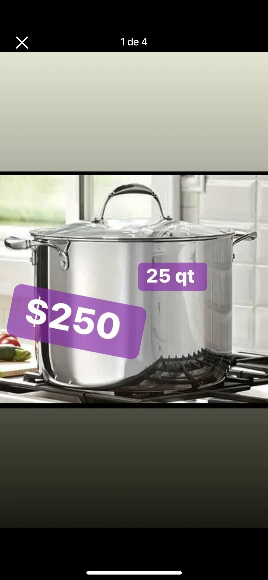 Olla De 25 qt De Princess House Nueva