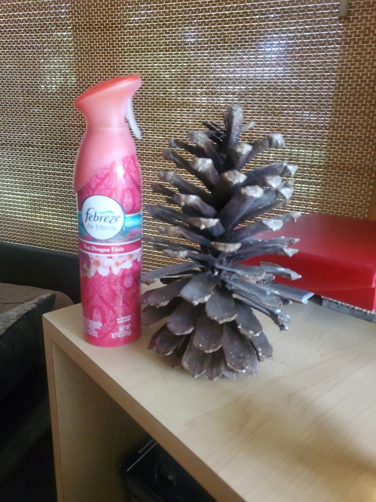 Giant Pine Cones, For Giant Christmas Trees