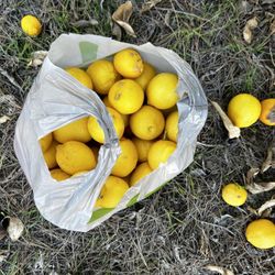 Organic Lemons 🍋