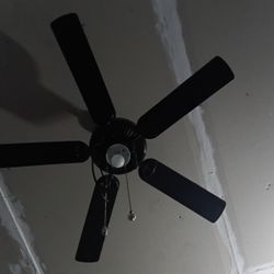 Fan Like New As Is Working Light And Fan $25