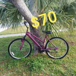 Womens Girls Mountain Bike 2speed