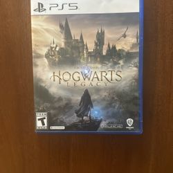 Hogwarts Legacy Ps5