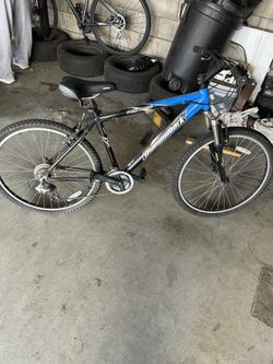 Diamond Back Response