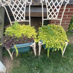 Metal Chair Frame With Large Planters