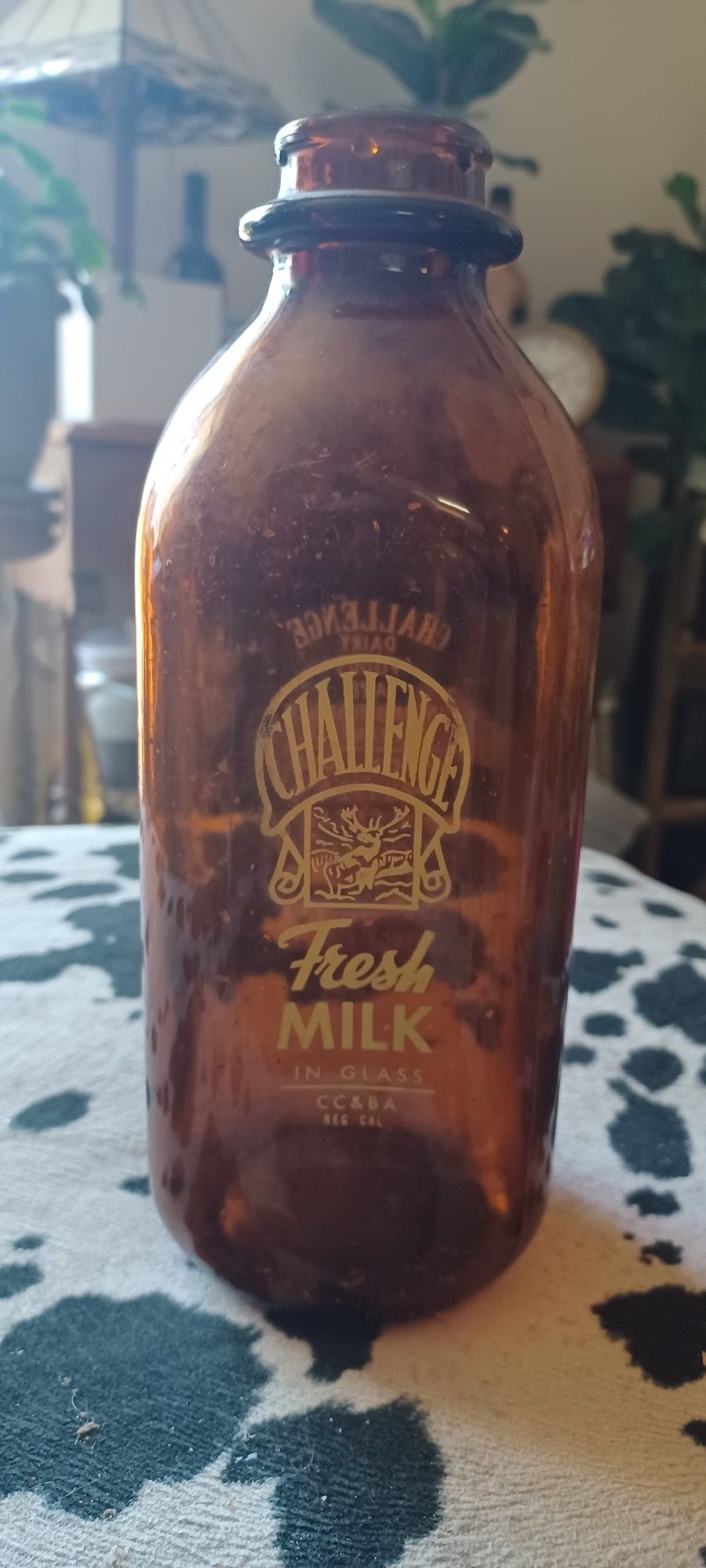 Bottle- Challenge Milk