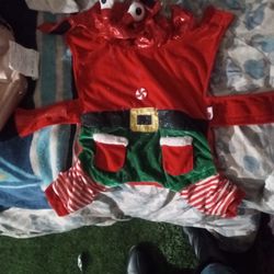 Dog Christmas Outfit It's Kind Of Cute And Little Crab It Has Like