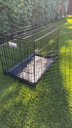 Dog kennel