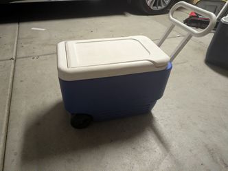Igloo 38qt cooler