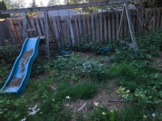Free swingset