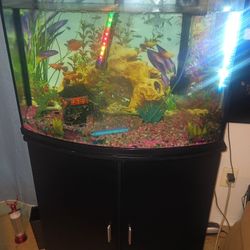 36 Gallon fish tank Great lighting with cabinet