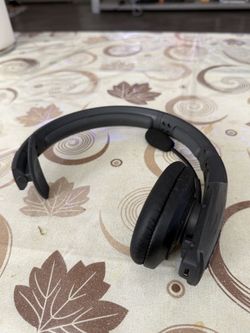 Blue parrot.  Headphones