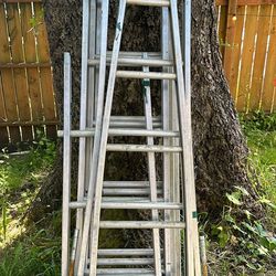 Alaco Window Cleaning Ladders 
