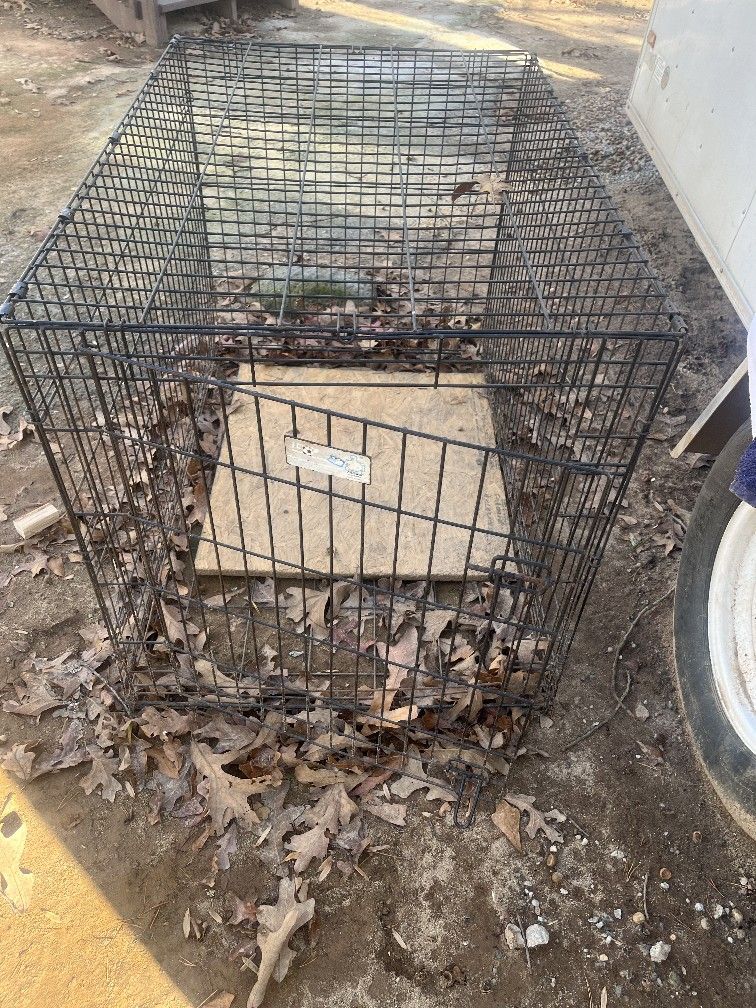 Dog Cages
